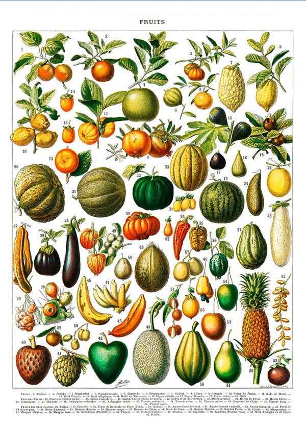 Poster vintage di frutta e verdura