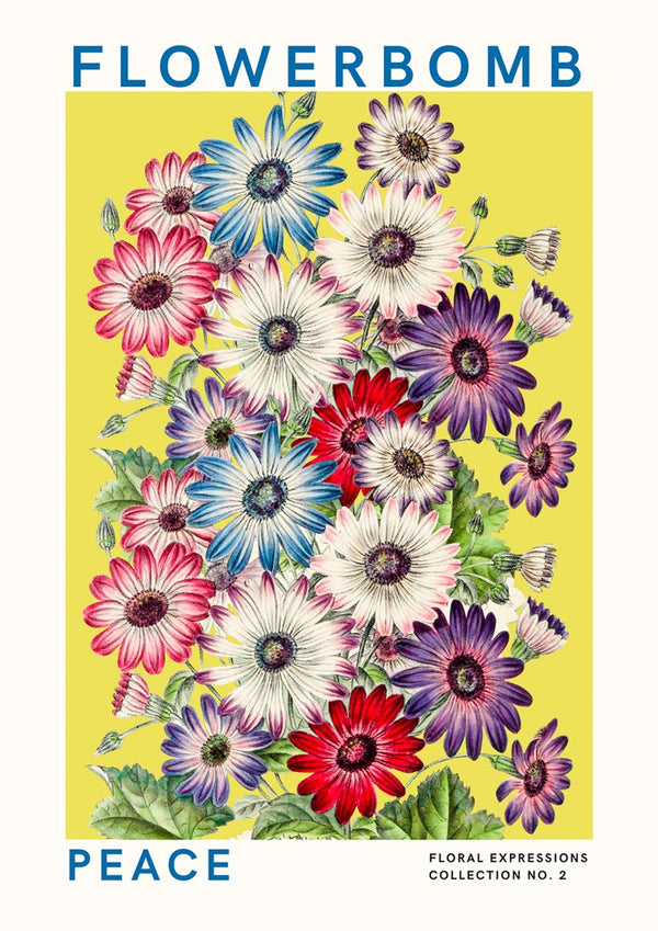 Flowerbomb - Póster Paz