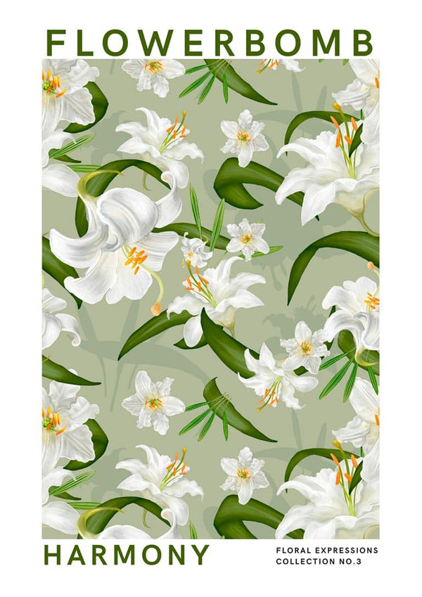 Flowerbomb - Póster Armonía