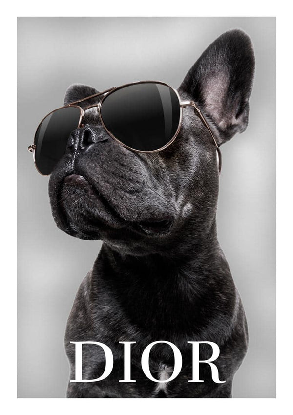 Póster Bulldog Dior