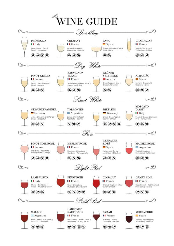Póster guía del vino