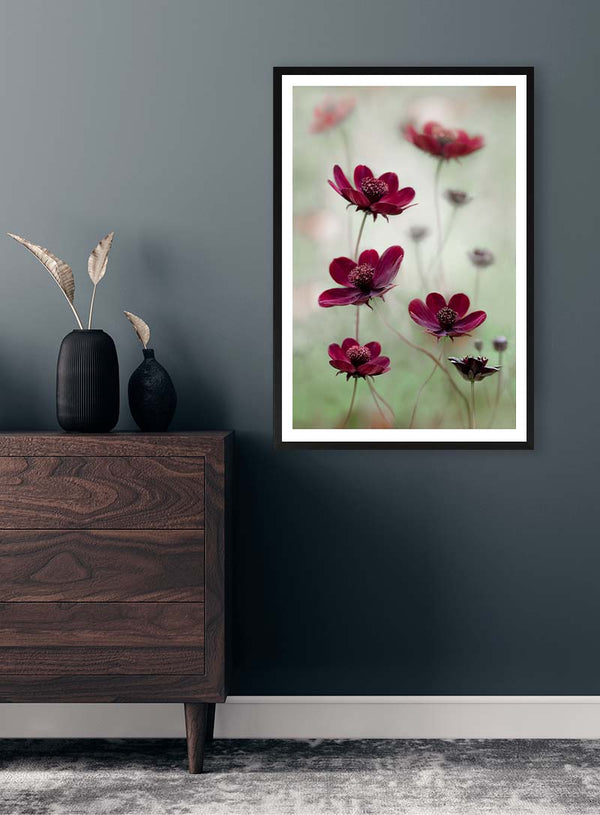 Onde del cosmo - Mandy Disher