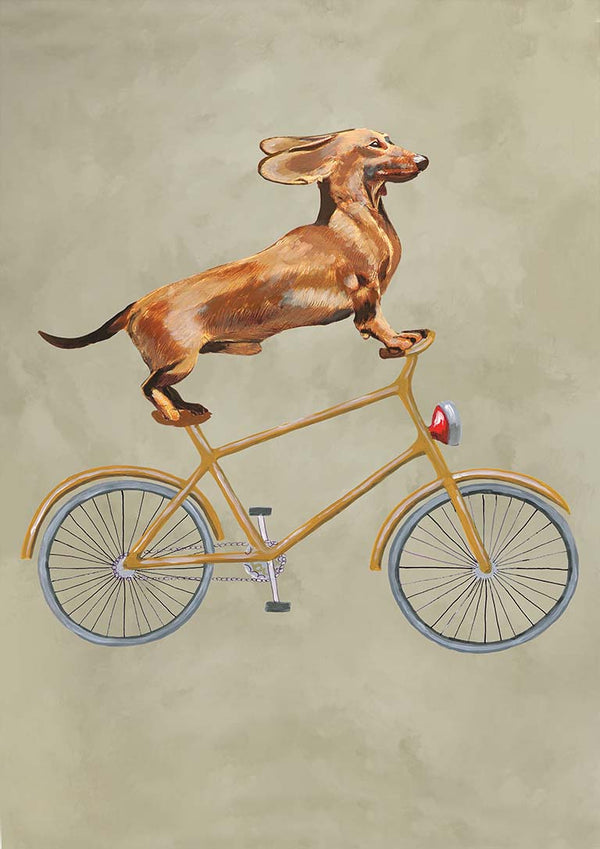 Perro salchicha en bicicleta - Coco de Paris