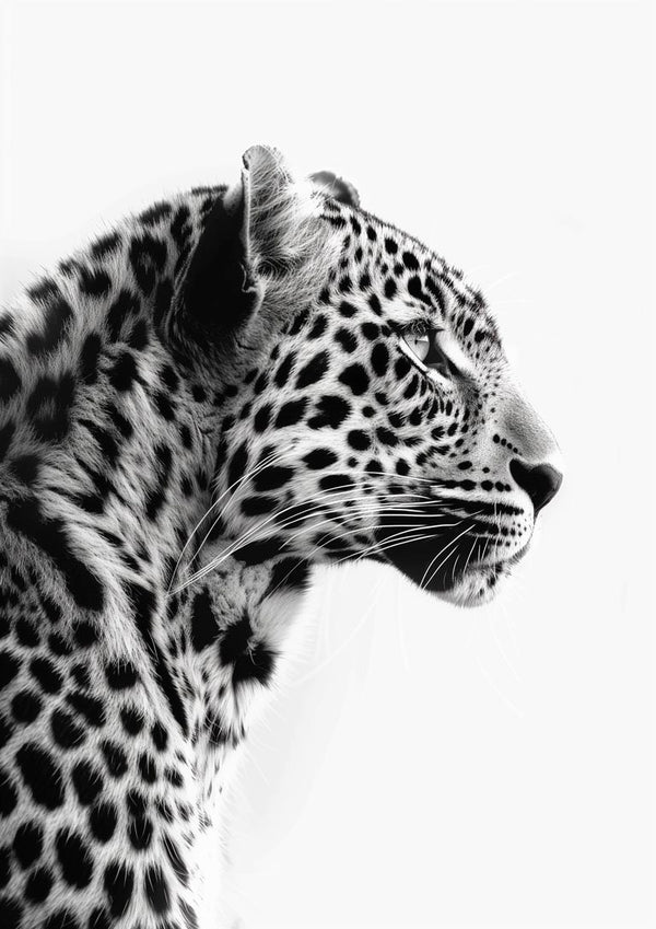 Leopardo fashion Edición Artsy
