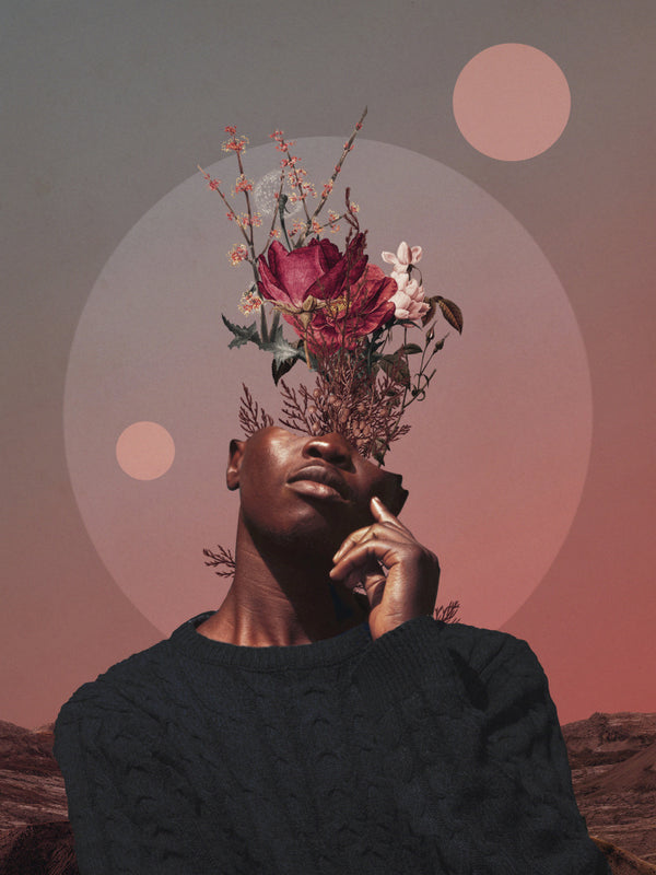 Pale Memories of Dusk - Frank Moth