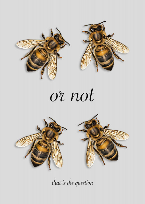 To Bee Or Not - Andreas Magnusson