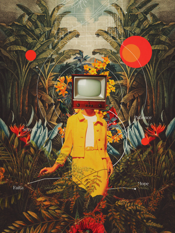 Elle venait de la nature sauvage - Frank Moth