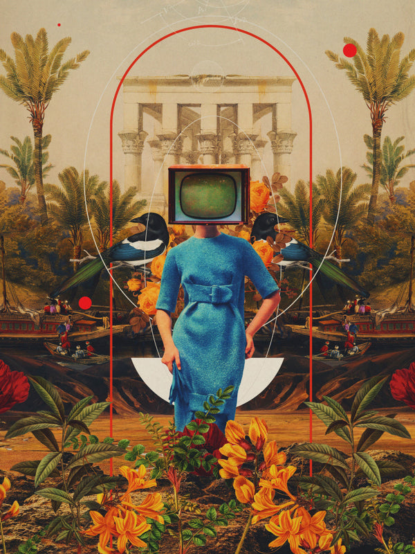 Her Asymmetries - Frank Moth