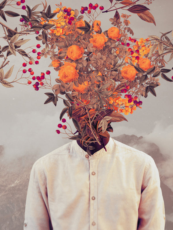 Bright Bloom - Frank Moth