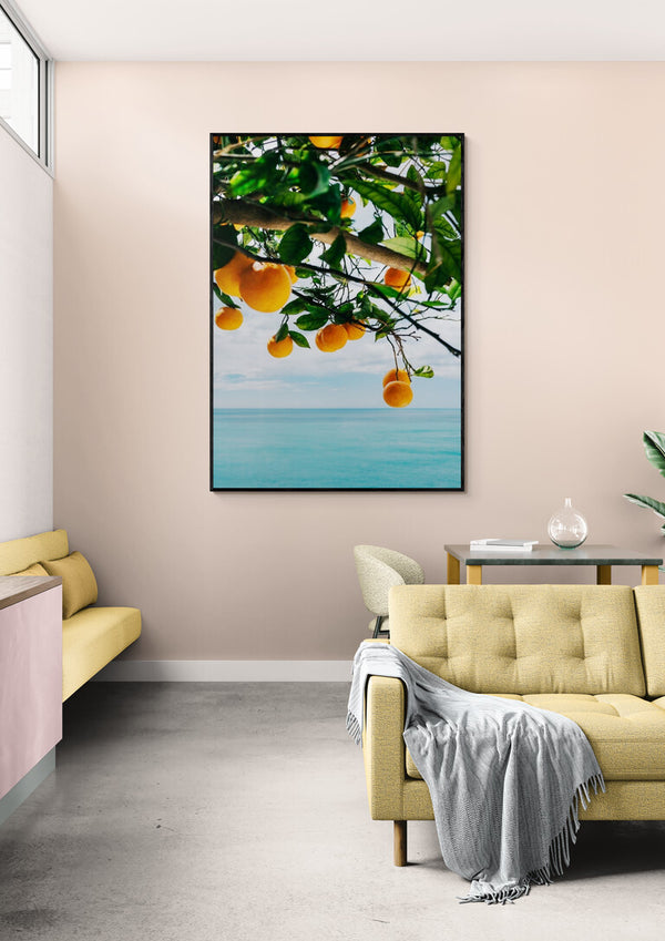 Naranjas de la Costa Amalfitana IV